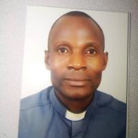 Father Michael Kamulegeya, Trustee