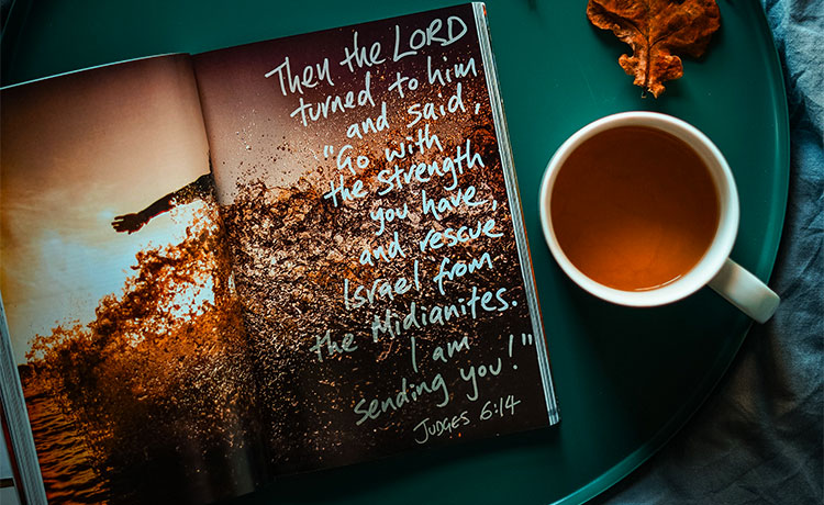 Judges 6:14